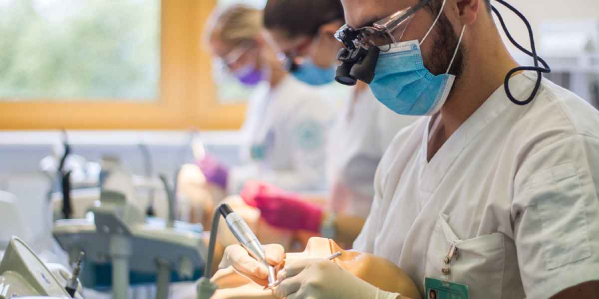 international dentist advanced placement program in canada international dentist advanced placement program in canada